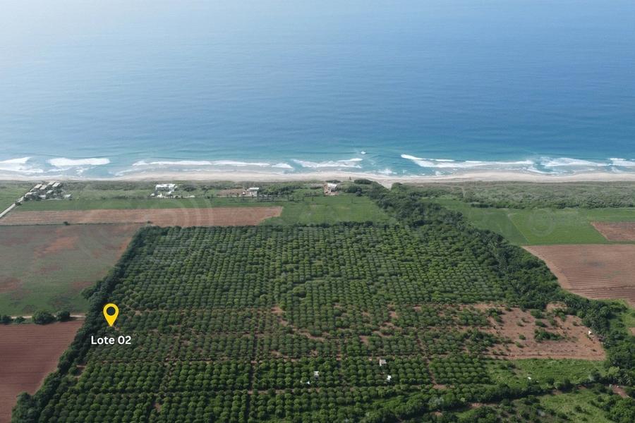 Vista aérea del Lote 02 en la huerta de mangos con el mar al fondo, Plataforma