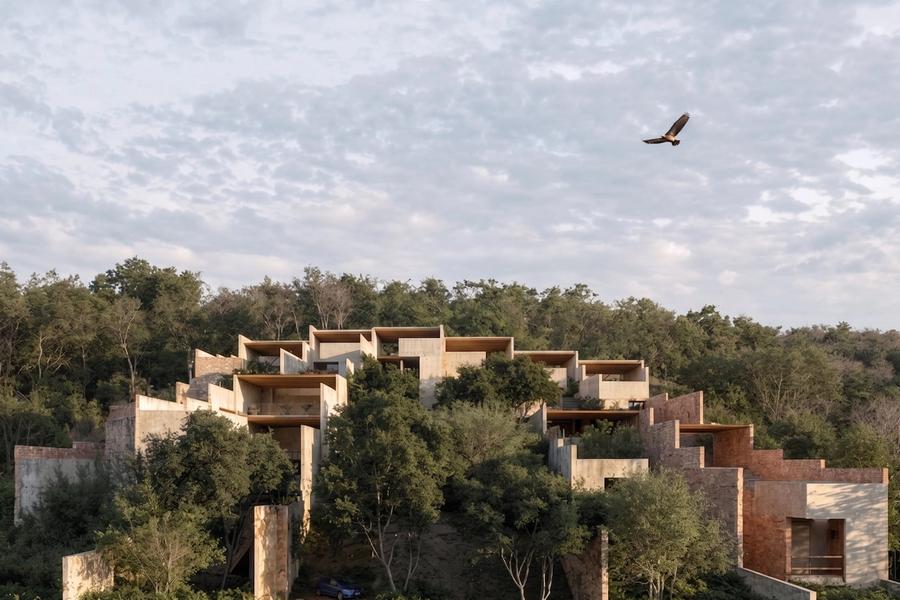 Render of the stepped residences among the trees, Terrazas de Nisa, La Barra de Colotepec
