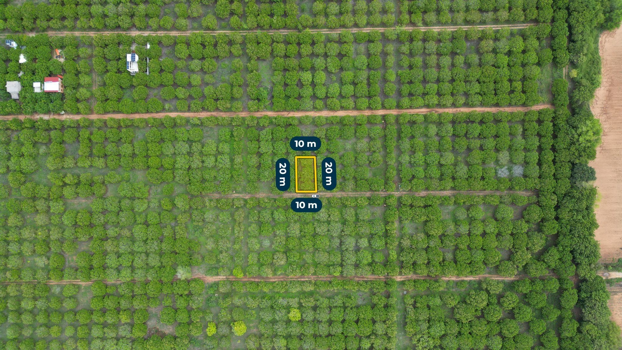 Vue zénithale du contour du lot de 10 x 20 m, Plataforma