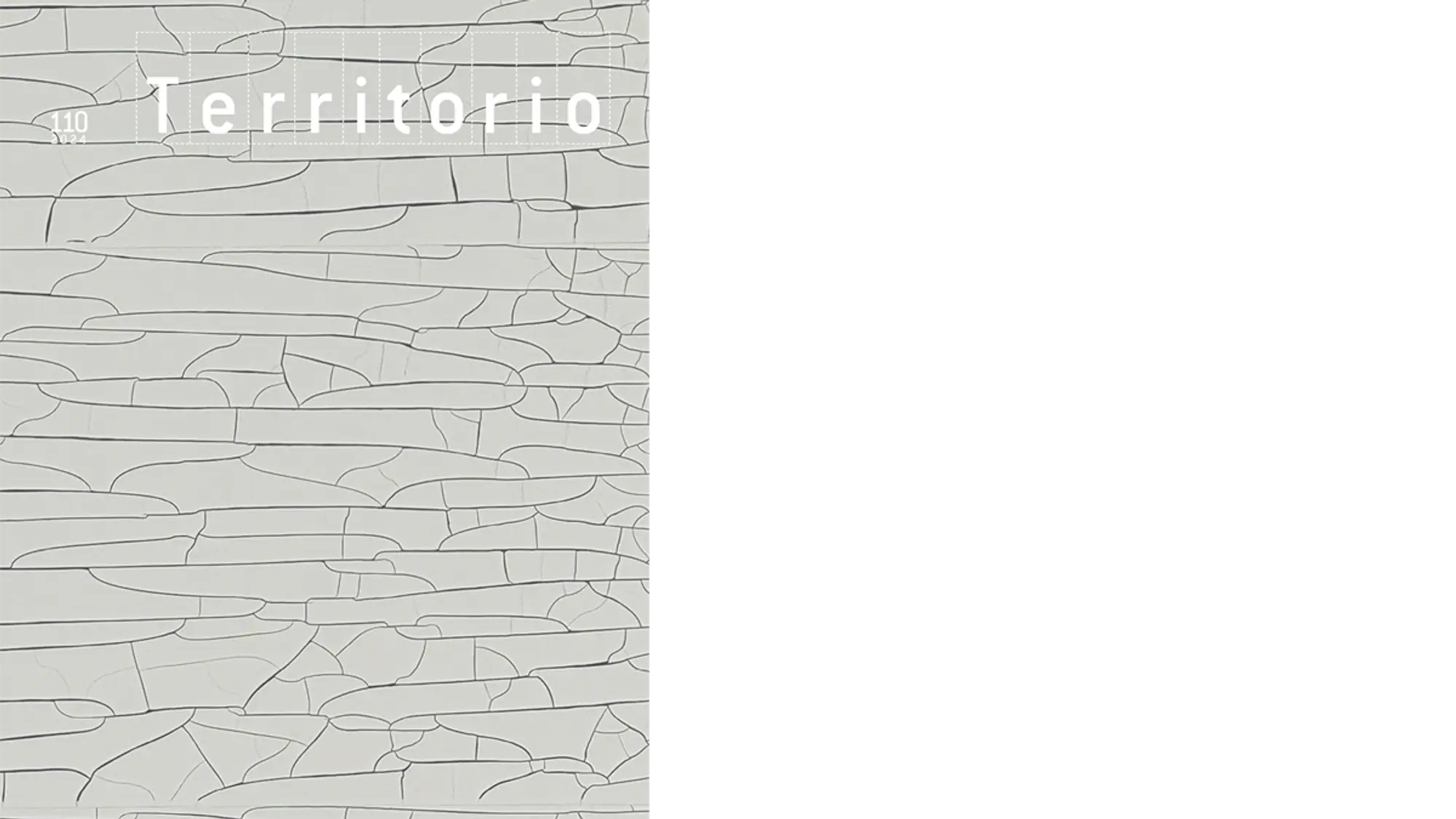 Copertina Territorio 110