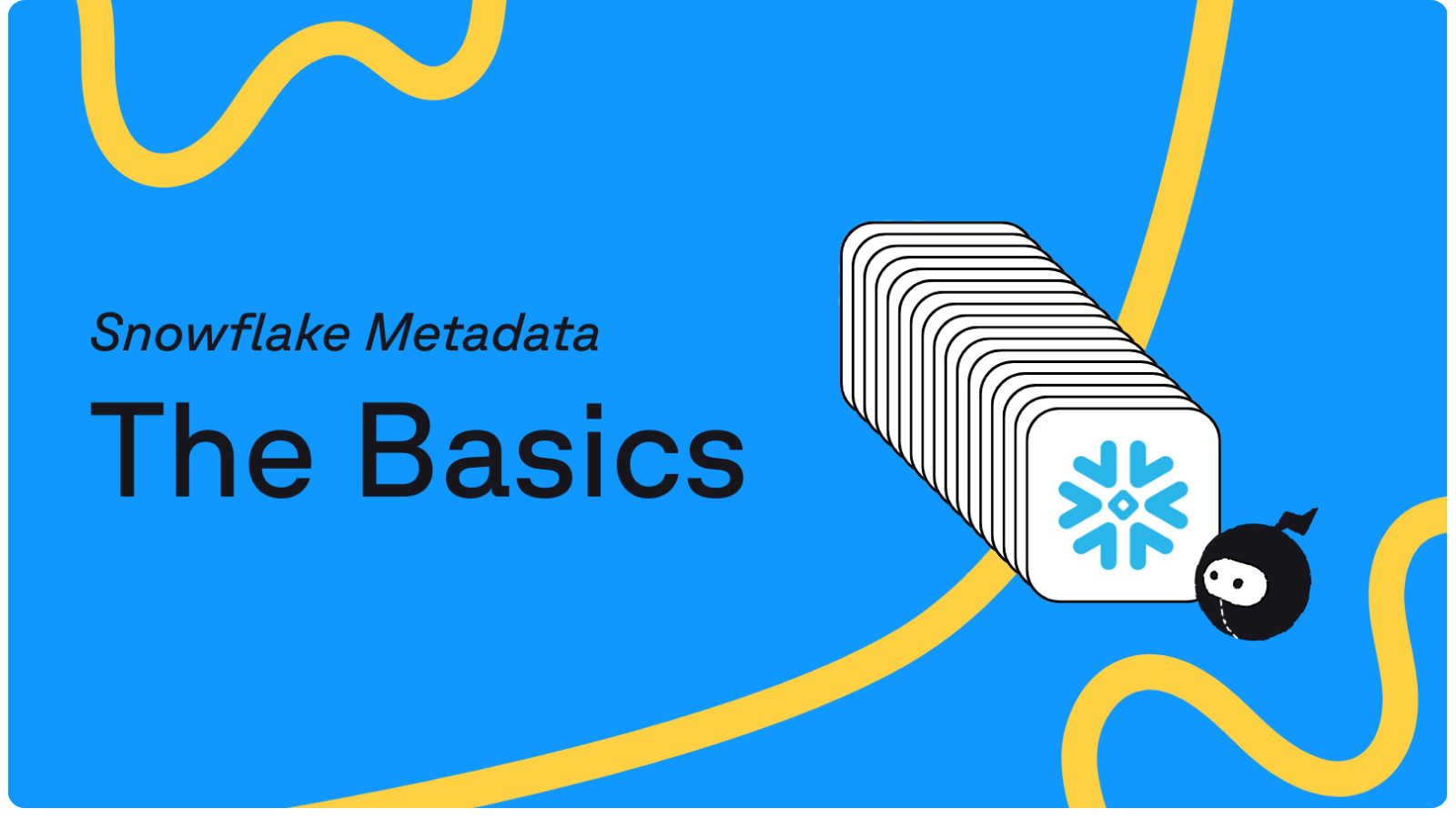 Snowflake Metadata Basic Guide