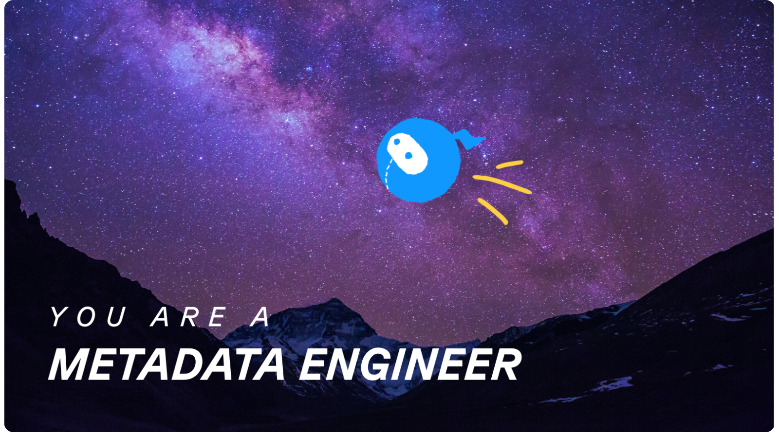 Metadata Engineer