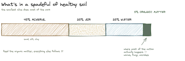 Soil basics: why it matters more than anything else you'll buy