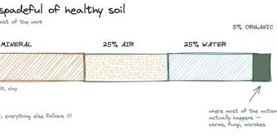 Soil basics: why it matters more than anything else you'll buy