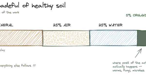 Soil basics: why it matters more than anything else you'll buy