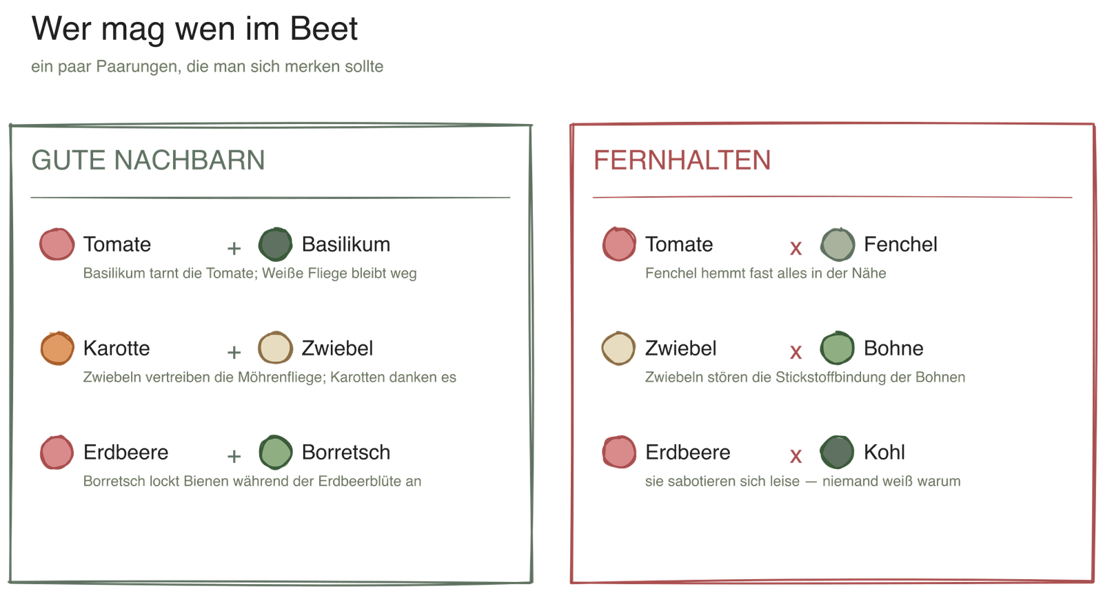 Mischkulturen: Wie es funktioniert