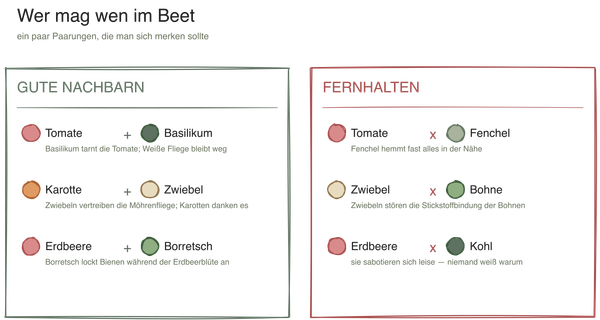 Mischkulturen: Wie es funktioniert