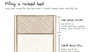 Getting your beds ready to grow