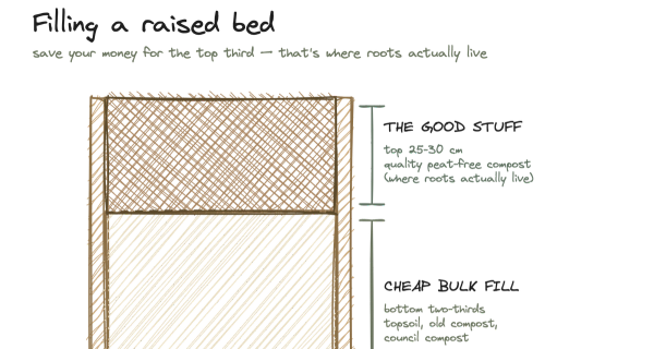 Getting your beds ready to grow
