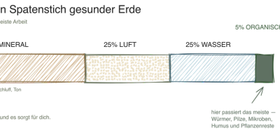 Warum der Boden so wichtig ist