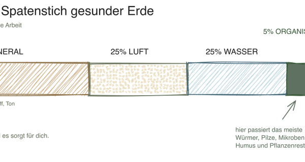 Warum der Boden so wichtig ist
