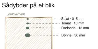Hvornår og hvordan du sår: en praktisk guide
