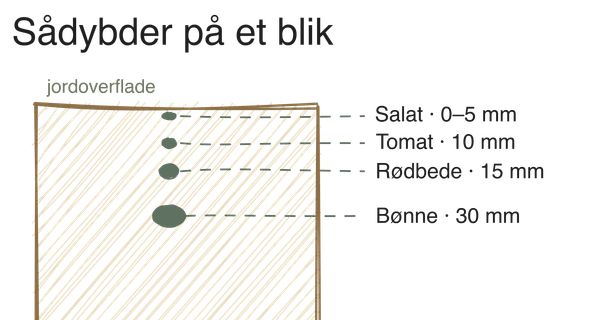 Hvornår og hvordan du sår: en praktisk guide