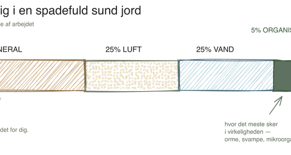 Jord: Hvorfor den betyder mere end alt andet, du køber