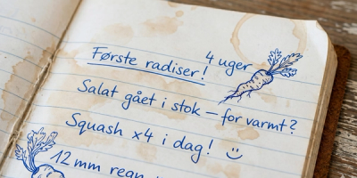 Din første sæson handler om at lære