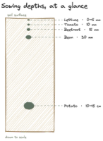 When and how to sow: a practical guide