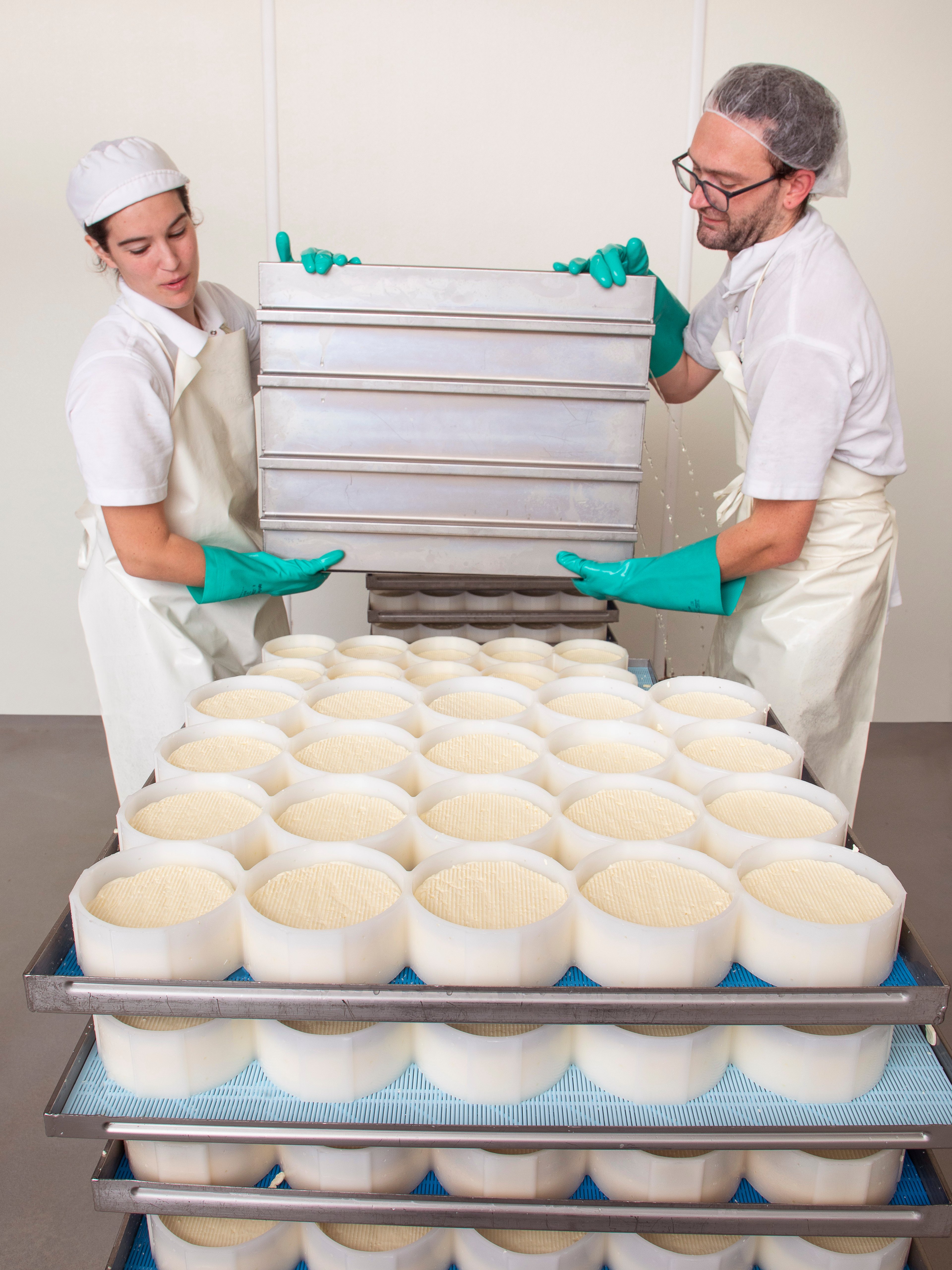 Cheesemakers filling a rack of molds