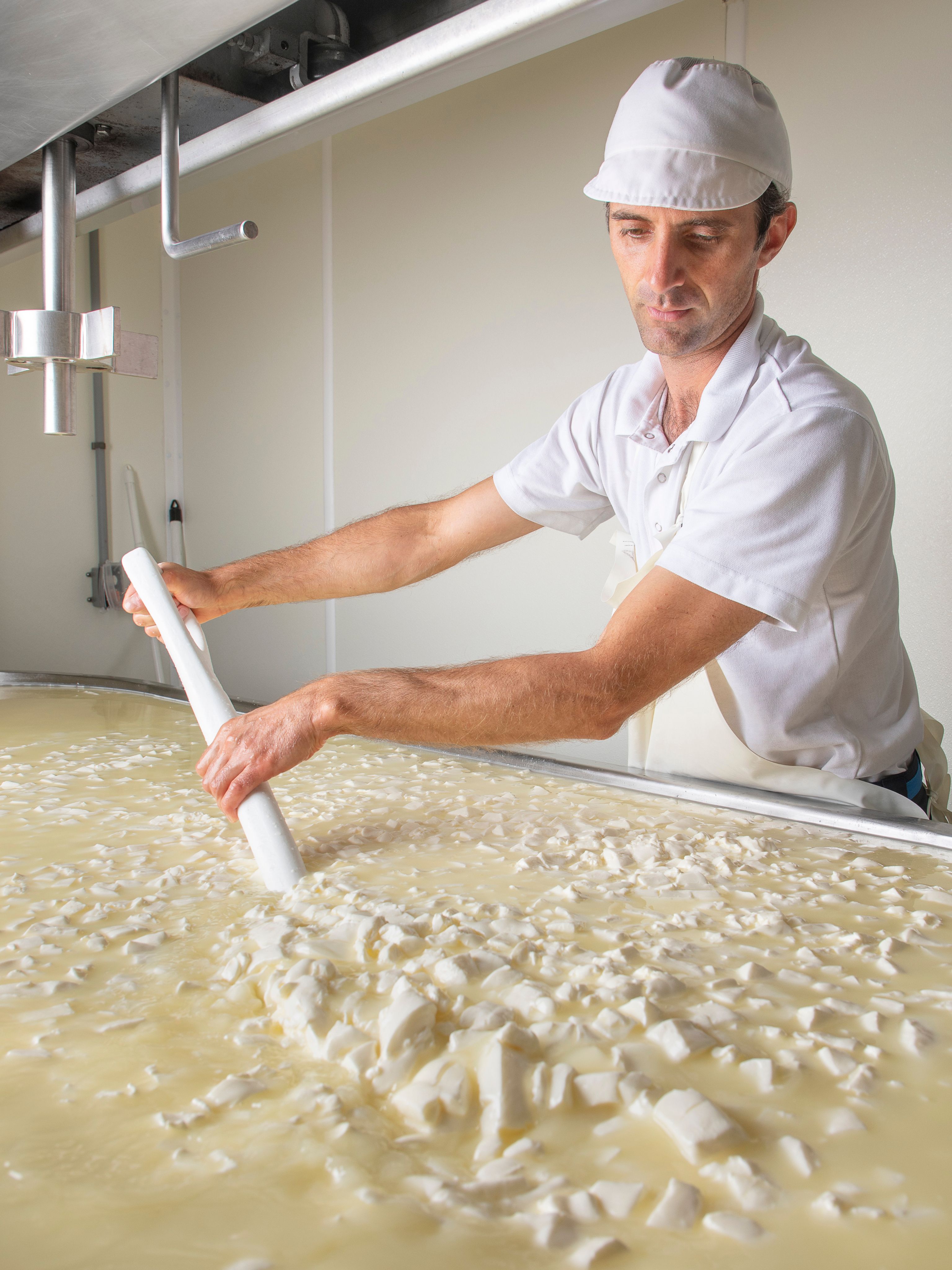 A cheesemaker stirring curd in the vat
