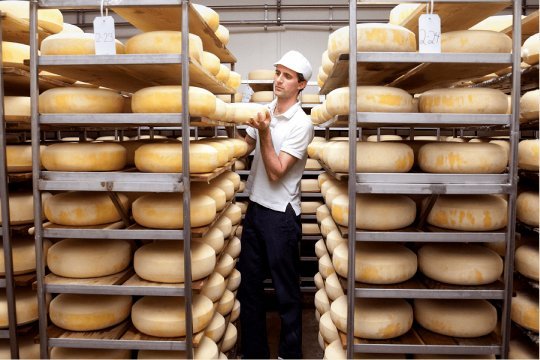 A cheesemaker among shelves of aging wheels