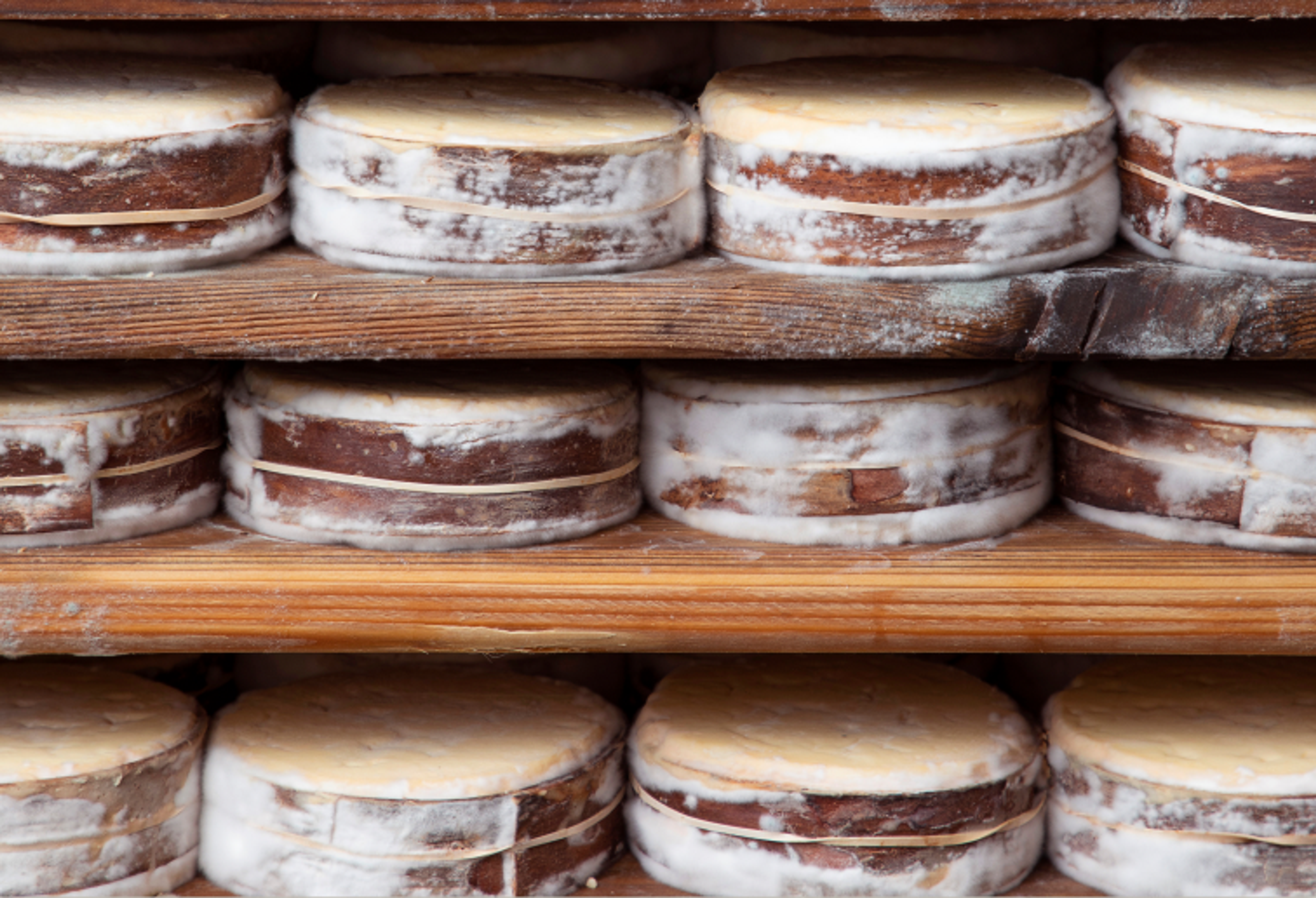 Wheels of Uplands cheese