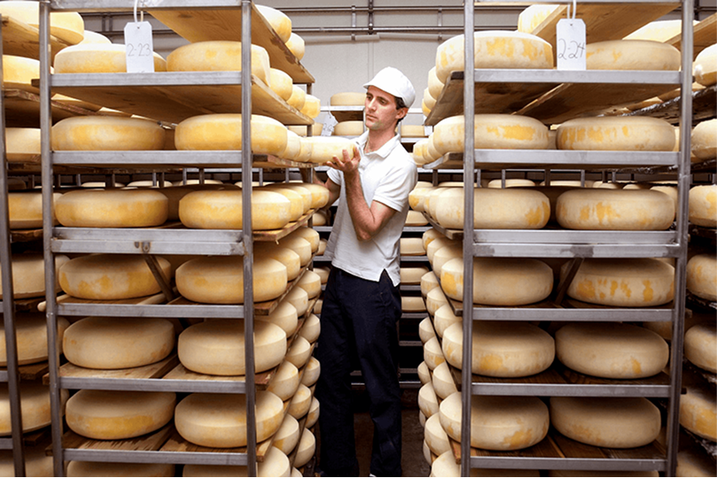 A cheesemaker among shelves of aging wheels