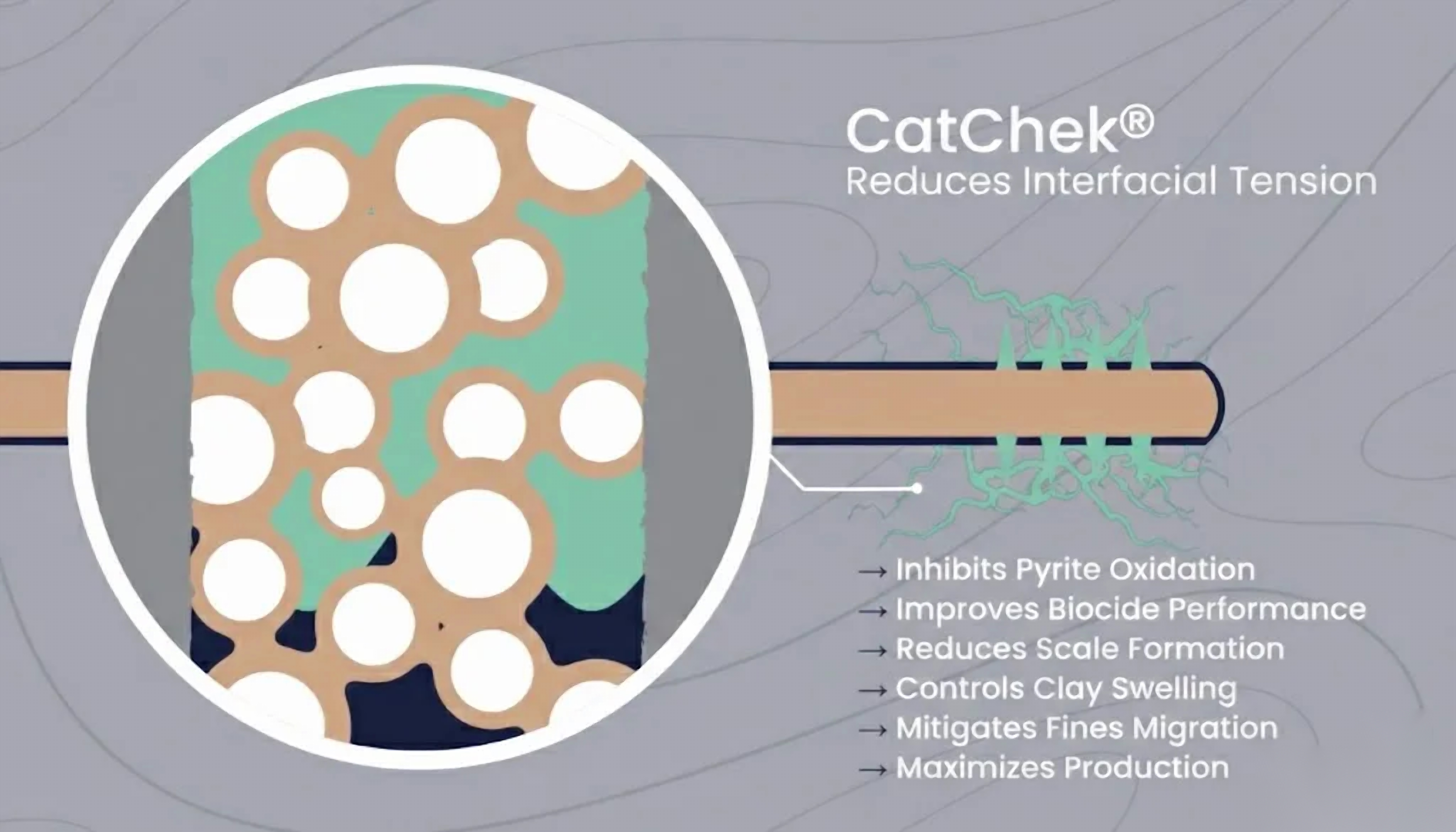 CatChek