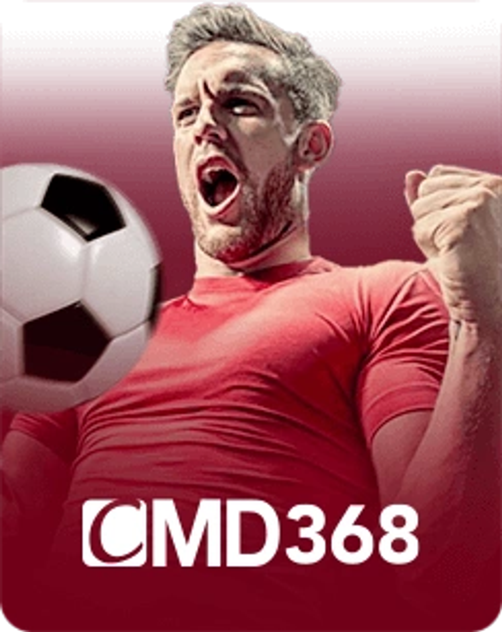 CMD368 Sports betting