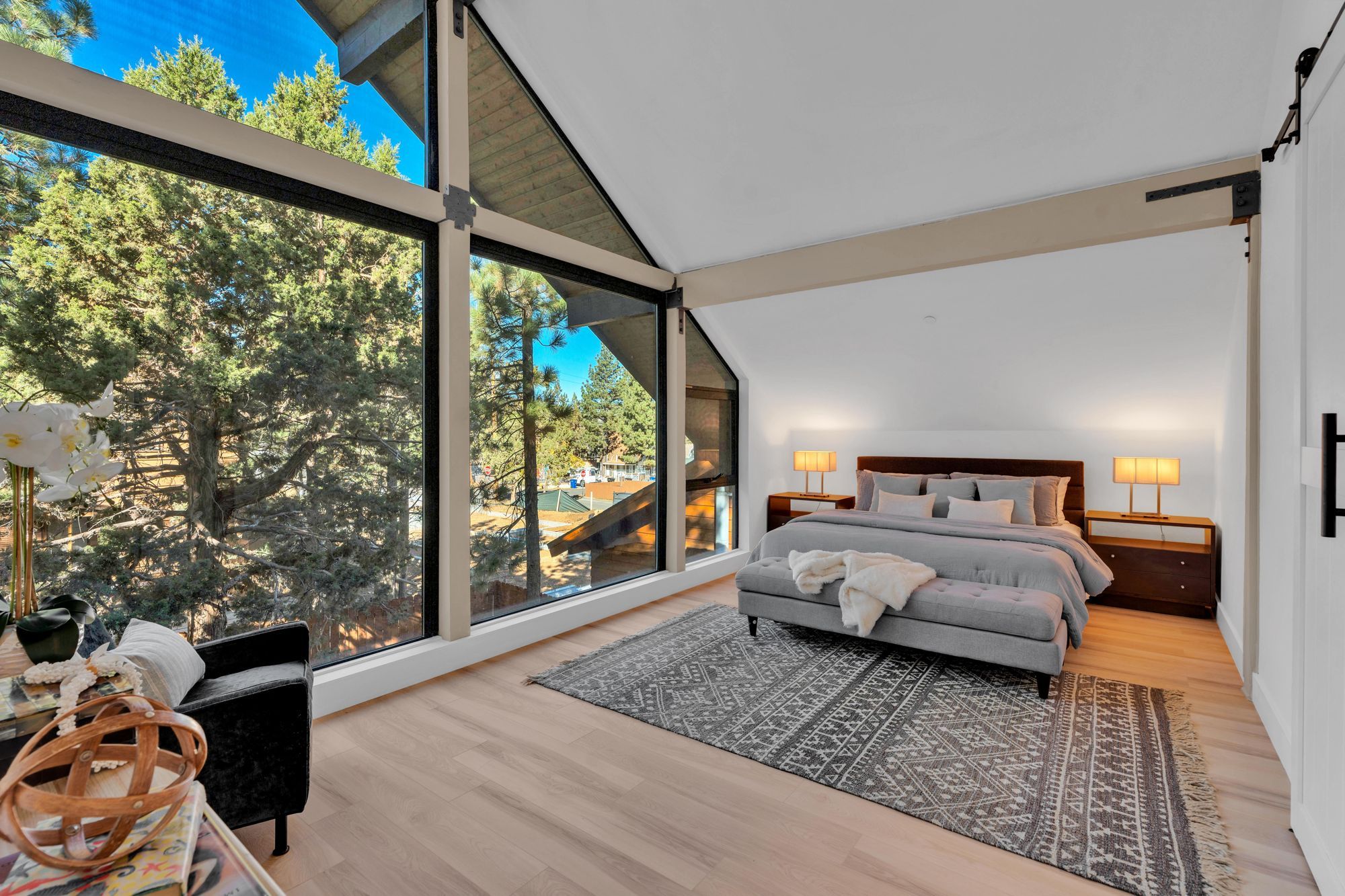 Cabin living room with modern furniture and cozy decor