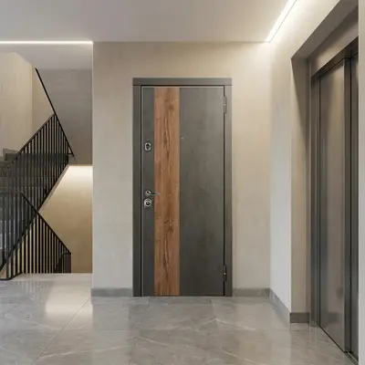 რკინის კარი SL Chicago