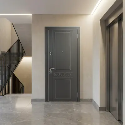 რკინის კარი SL Deco