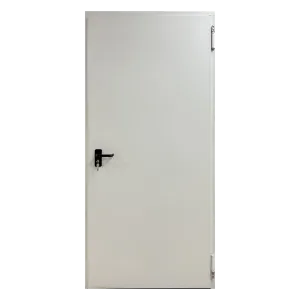 ცეცხლგამძლე რკინის კარი