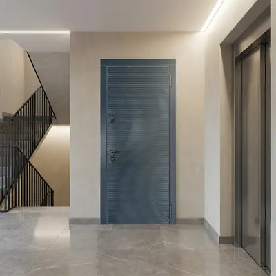 რკინის კარი SL 1 5690