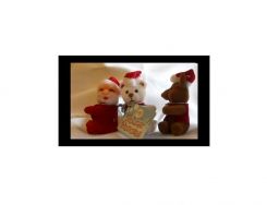 24673 2 INCH CHRISTMAS CLIP ONS