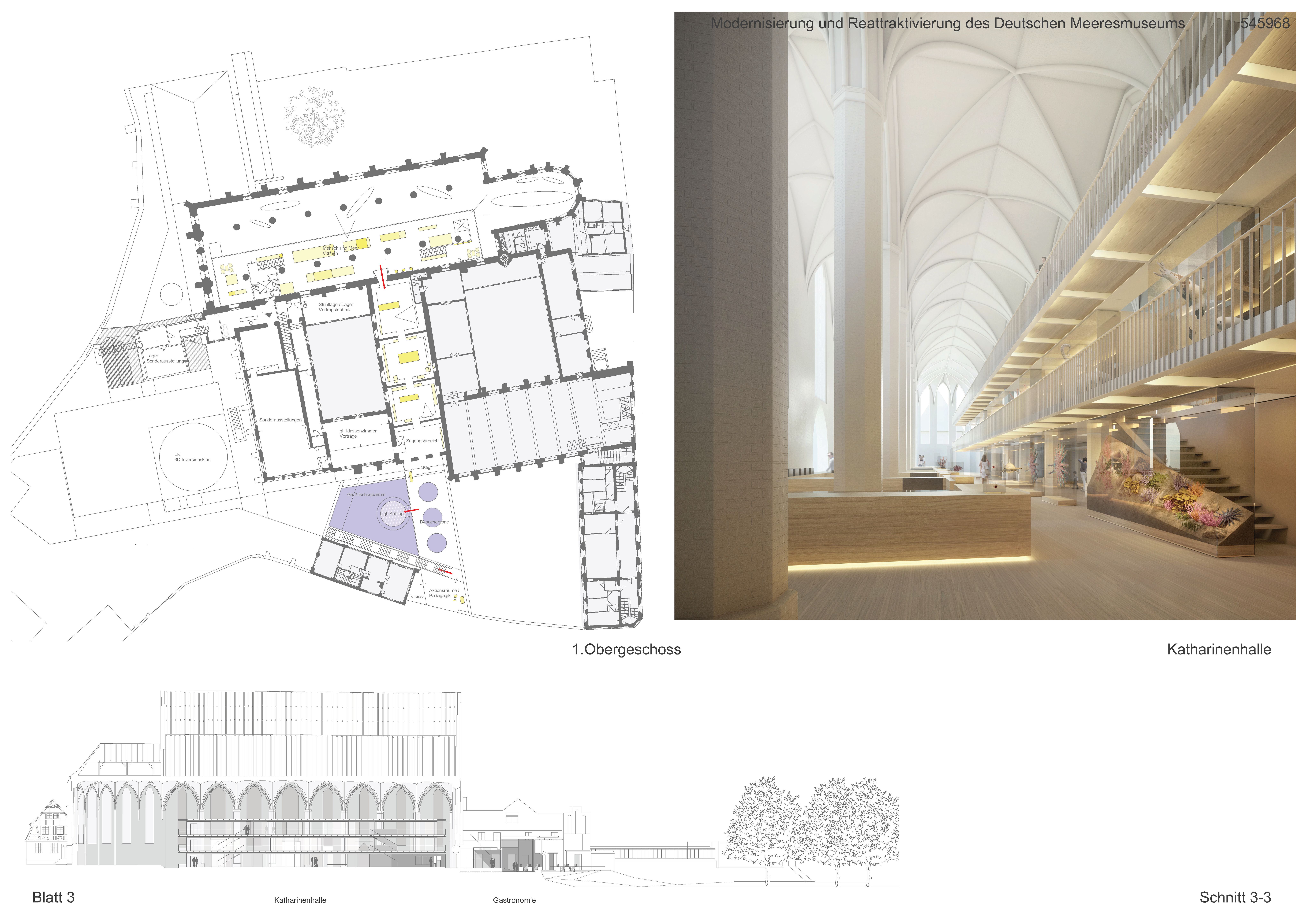 Deutsches Meeresmuseum​​​​‌﻿‍﻿​‍​‍‌‍﻿﻿‌﻿​‍‌‍‍‌‌‍‌﻿‌‍‍‌‌‍﻿‍​‍​‍​﻿‍‍​‍​‍‌﻿​﻿‌‍​‌‌‍﻿‍‌‍‍‌‌﻿‌​‌﻿‍‌​‍﻿‍‌‍‍‌‌‍﻿﻿​‍​‍​‍﻿​​‍​‍‌‍‍​‌﻿​‍‌‍‌‌‌‍‌‍​‍​‍​﻿‍‍​‍​‍​‍﻿﻿‌﻿​﻿‌﻿‌​‌﻿‌‌‌‍‌​‌‍‍‌‌‍﻿﻿​‍﻿﻿‌‍‍‌‌‍﻿‍‌﻿‌​‌‍‌‌‌‍﻿‍‌﻿‌​​‍﻿﻿‌‍‌‌‌‍‌​‌‍‍‌‌﻿‌​​‍﻿﻿‌‍﻿‌‌‍﻿﻿‌‍‌​‌‍‌‌​﻿﻿‌‌﻿​​‌﻿​‍‌‍‌‌‌﻿​﻿‌‍‌‌‌‍﻿‍‌﻿‌​‌‍​‌‌﻿‌​‌‍‍‌‌‍﻿﻿‌‍﻿‍​﻿‍﻿‌‍‍‌‌‍‌​​﻿﻿‌‌﻿​​‌﻿​‍‌‍﻿﻿‌‍‍‍‌‍‌‌‌‍​﻿‌﻿‌​​‍﻿‌​﻿​‌​﻿​‌​﻿‌‍​﻿‍﻿‌﻿‌​‌﻿‍‌‌﻿​​‌‍‌‌​﻿﻿‌‌﻿​​‌﻿​‍‌‍﻿﻿‌‍‍‍‌‍‌‌‌‍​﻿‌﻿‌​​﻿‍﻿‌﻿​​‌‍​‌‌﻿‌​‌‍‍​​﻿﻿‌‌﻿‌​‌‍‍‌‌﻿‌​‌‍﻿​‌‍‌‌​﻿﻿﻿‌‍​‍‌‍​‌‌﻿​﻿‌‍‌‌‌‌‌‌‌﻿​‍‌‍﻿​​﻿﻿‌​‍‌‌​﻿​‍‌​‌‍‌﻿​﻿‌﻿‌​‌﻿‌‌‌‍‌​‌‍‍‌‌‍﻿﻿​‍‌‍‌‍‍‌‌‍‌​​﻿﻿‌‌﻿​​‌﻿​‍‌‍﻿﻿‌‍‍‍‌‍‌‌‌‍​﻿‌﻿‌​​‍﻿‌​﻿​‌​﻿​‌​﻿‌‍​‍‌‍‌﻿‌​‌﻿‍‌‌﻿​​‌‍‌‌​﻿﻿‌‌﻿​​‌﻿​‍‌‍﻿﻿‌‍‍‍‌‍‌‌‌‍​﻿‌﻿‌​​‍‌‍‌﻿​​‌‍​‌‌﻿‌​‌‍‍​​﻿﻿‌‌﻿‌​‌‍‍‌‌﻿‌​‌‍﻿​‌‍‌‌​‍‌‍‌﻿​​‌‍‌‌‌﻿​‍‌﻿​﻿‌﻿​​‌‍‌‌‌‍​﻿‌﻿‌​‌‍‍‌‌﻿‌‍‌‍‌‌​﻿﻿‌‌﻿​​‌﻿‌‌‌‍​‍‌‍﻿​‌‍‍‌‌﻿​﻿‌‍‍​‌‍‌‌‌‍‌​​‍​‍‌﻿﻿‌