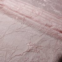 Blush Rose