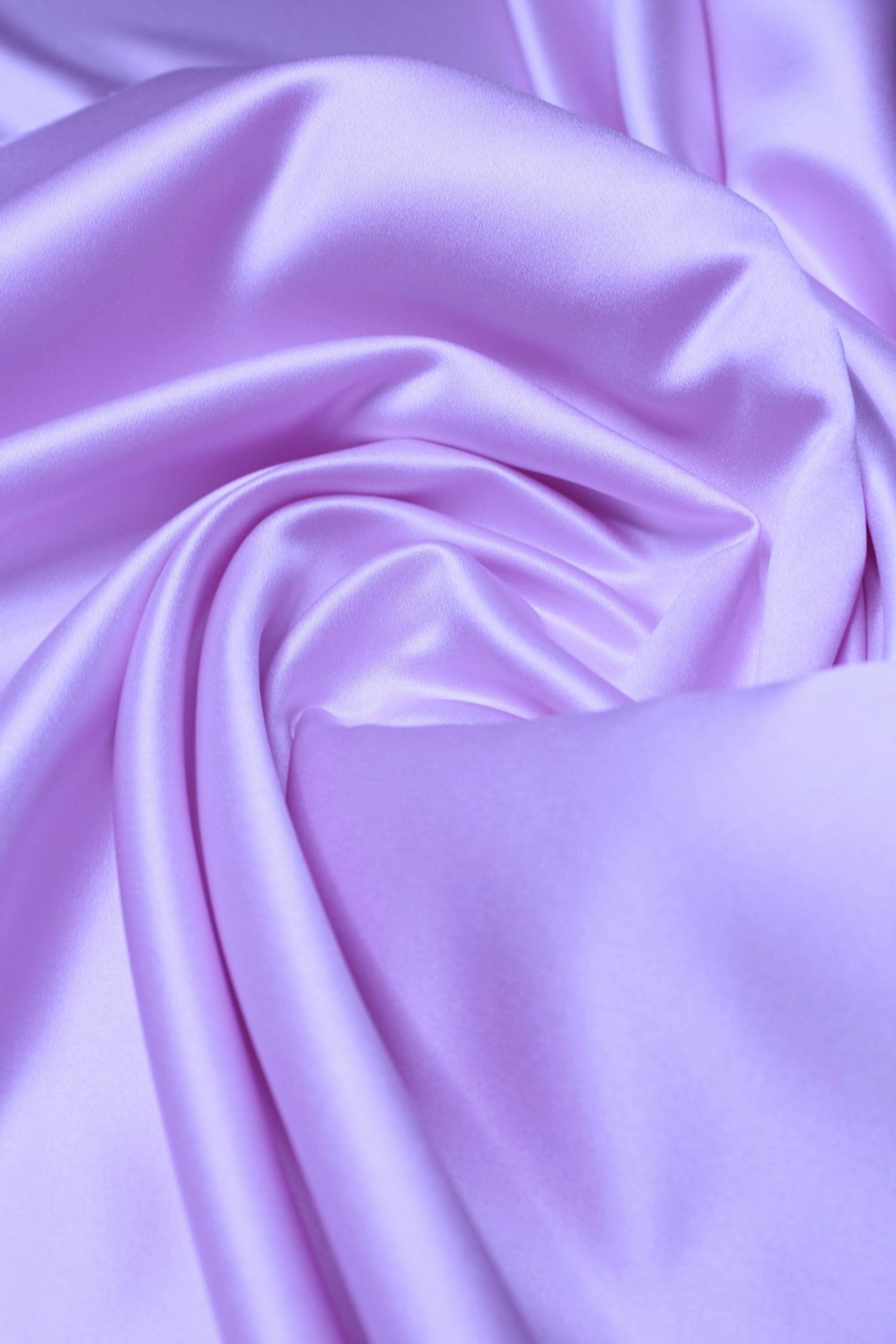 Lavender Duchess - Image 2