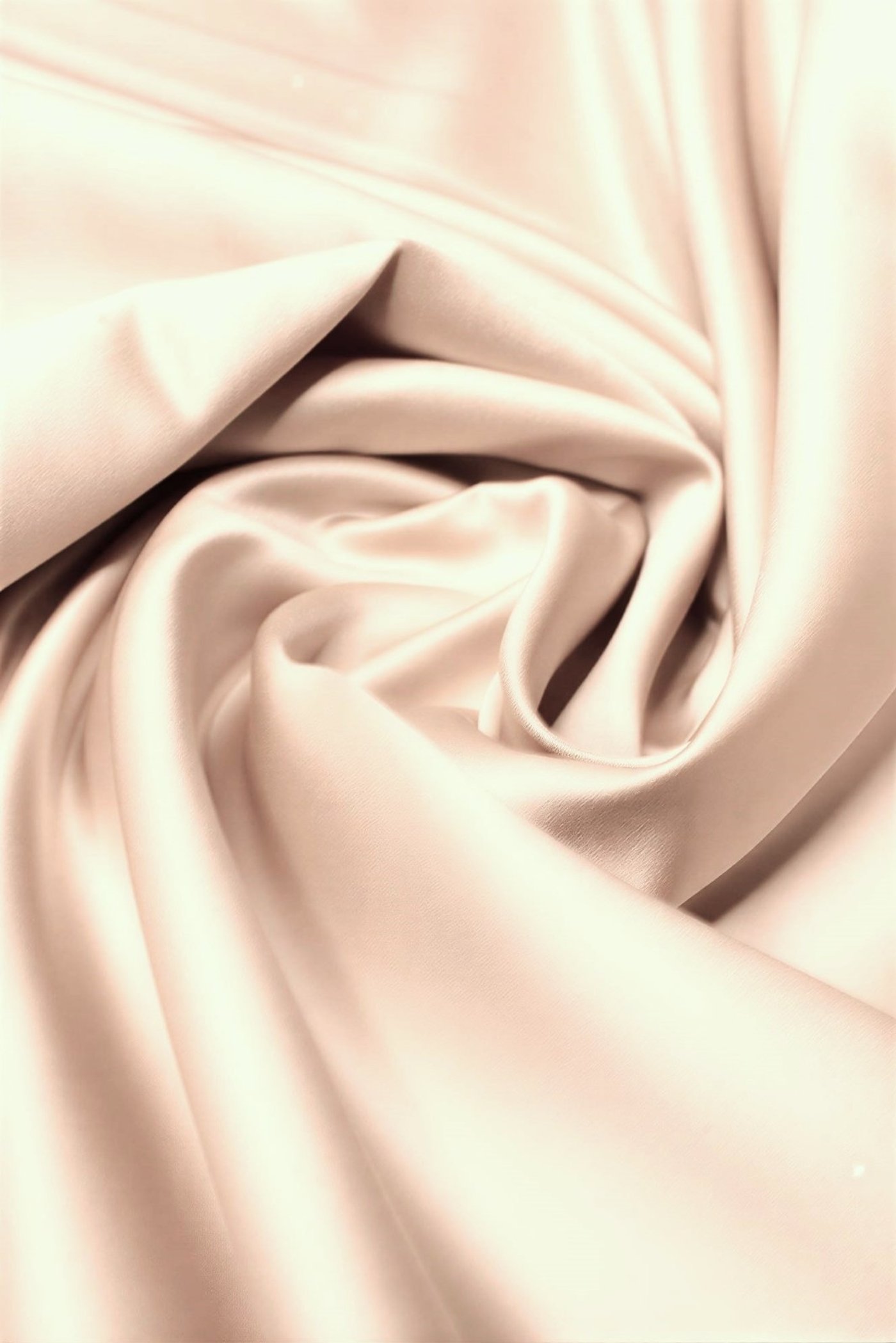 Champagne Duchess - Image 2