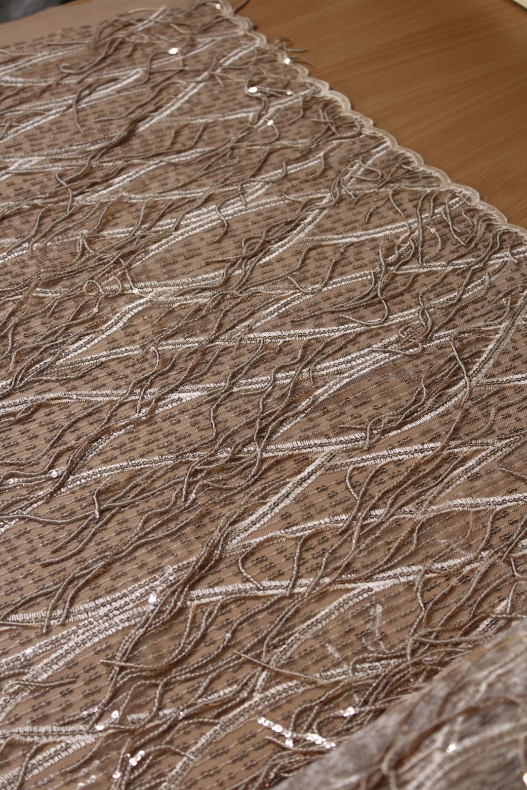 Champagne Fringe Embroidered Tulle - Image 2
