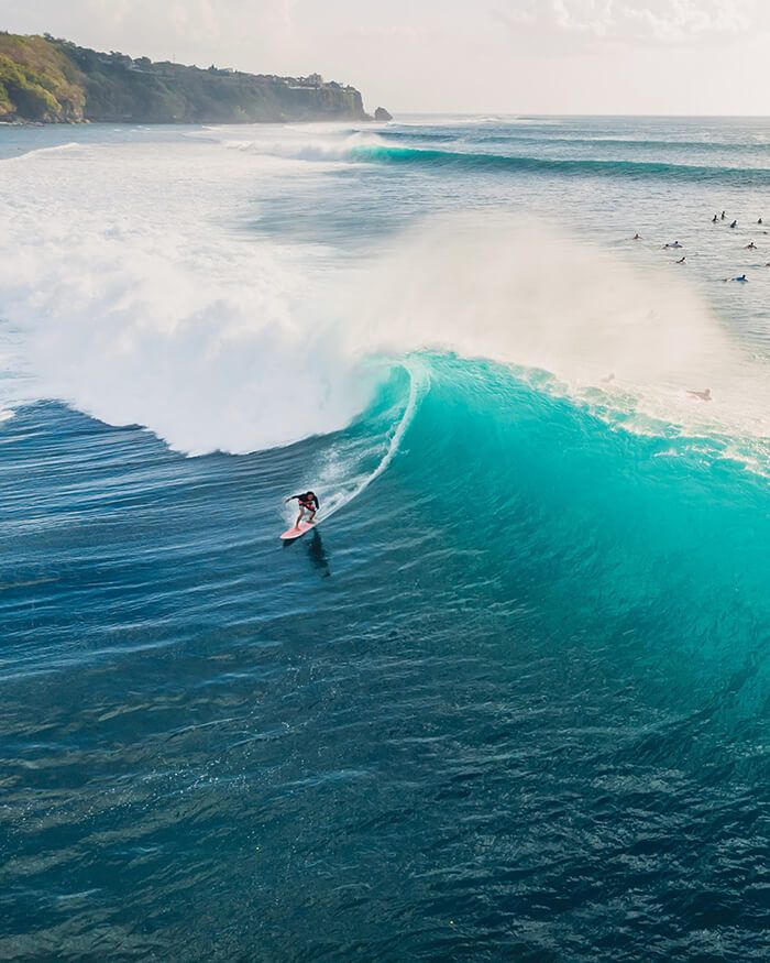 When you open an account at Wave, you become a member, not just a customer