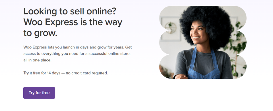 shopify alternatives