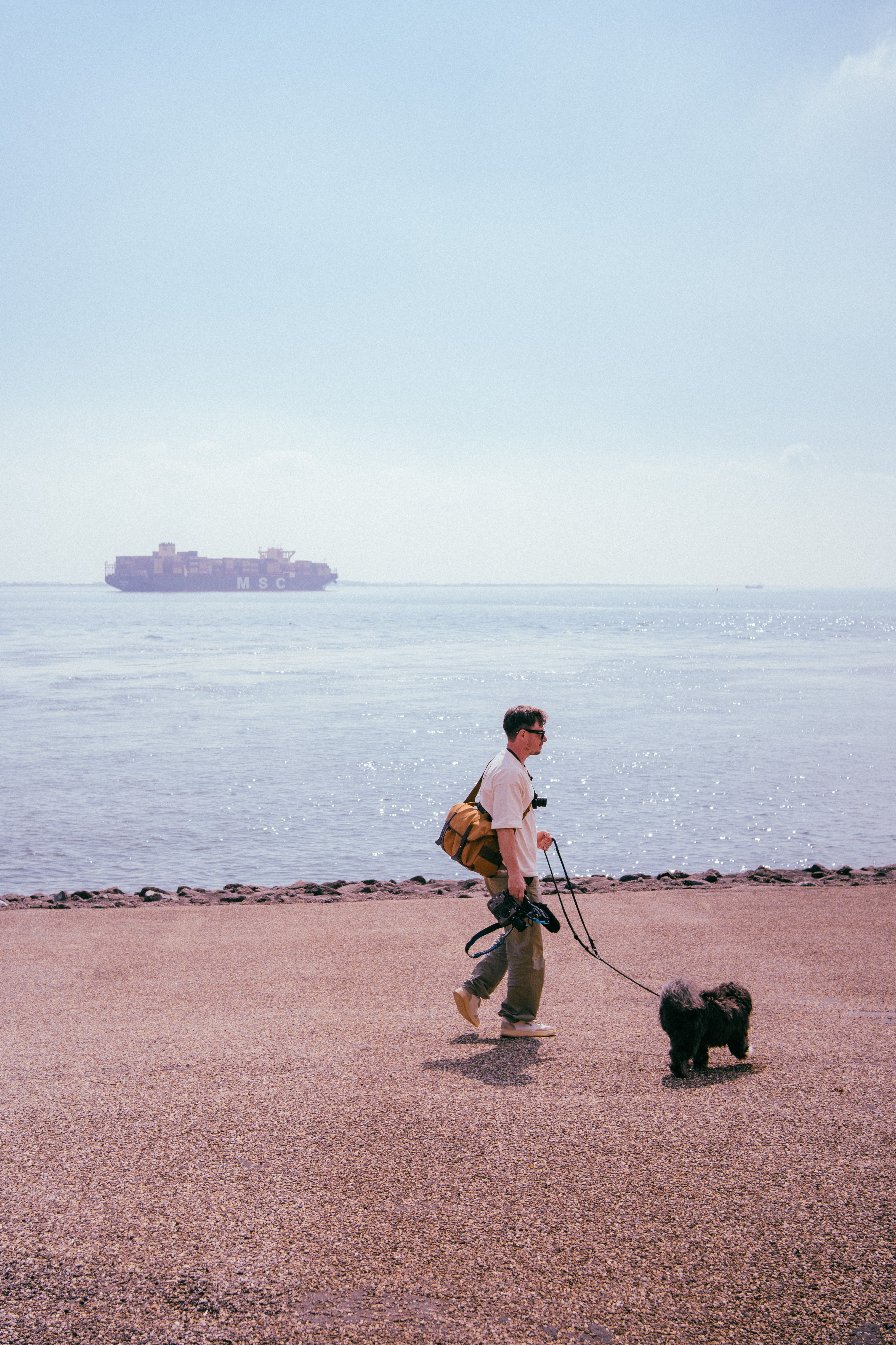 Man and dog at sea