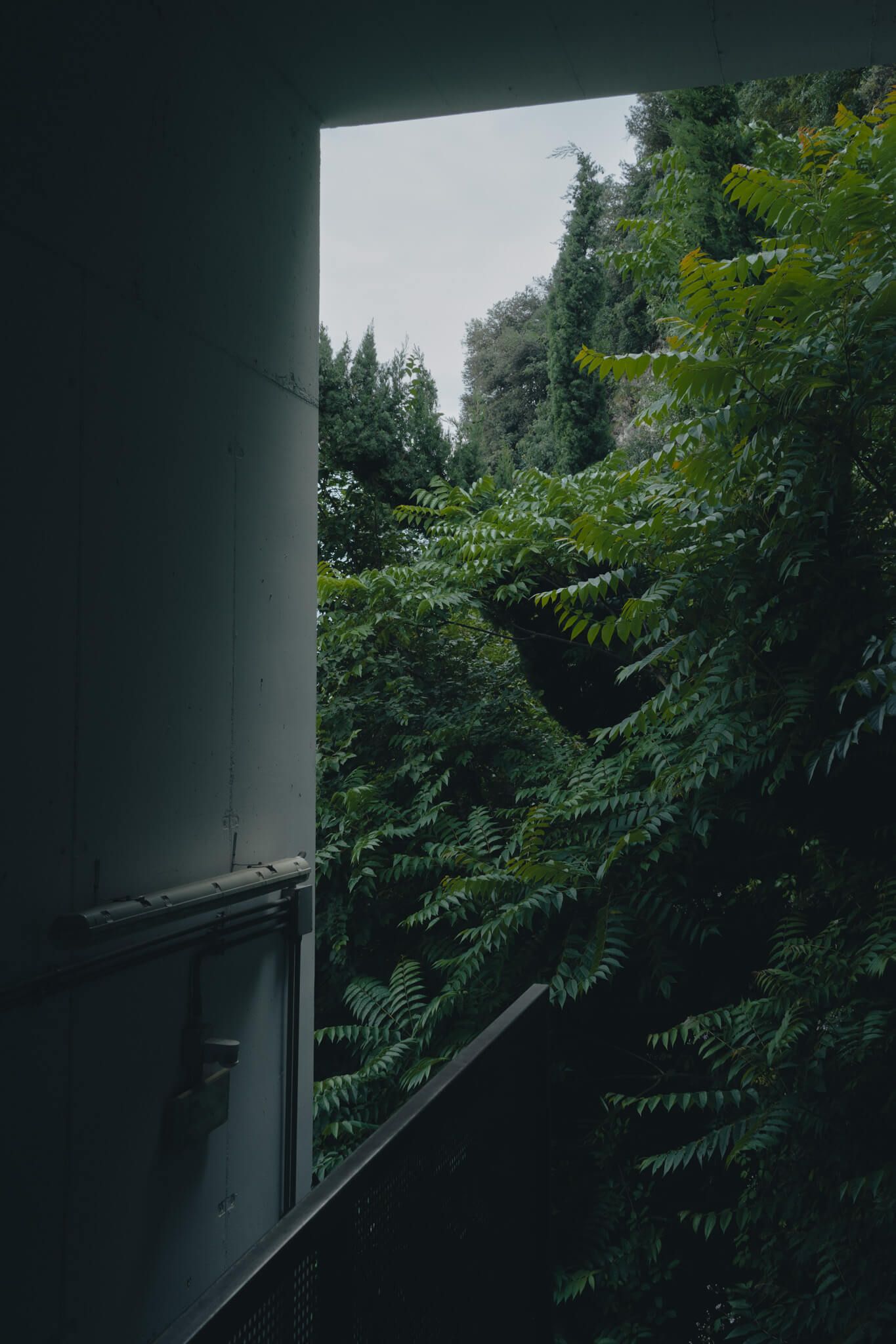 Concrete x Nature