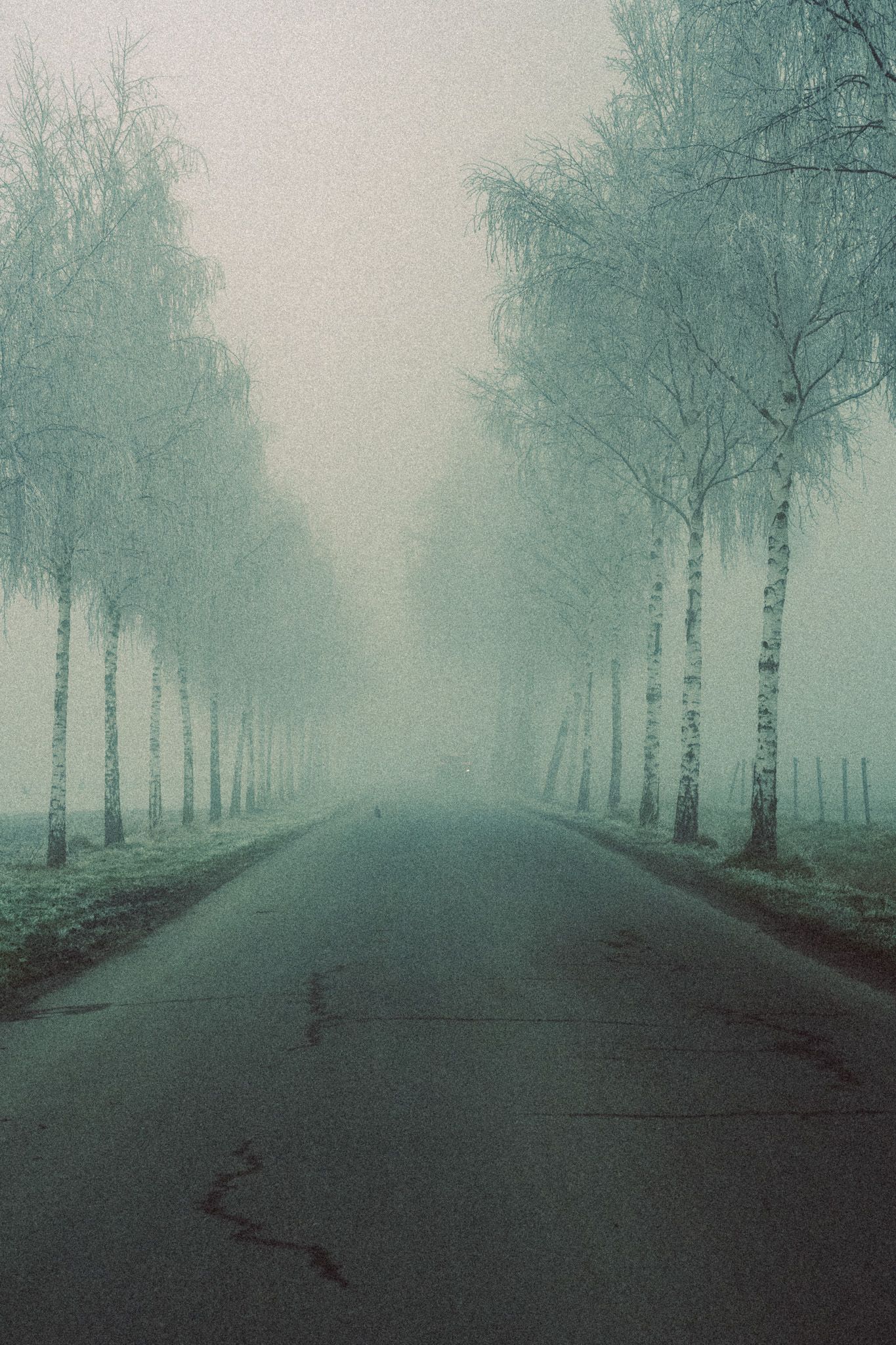 Foggy Street