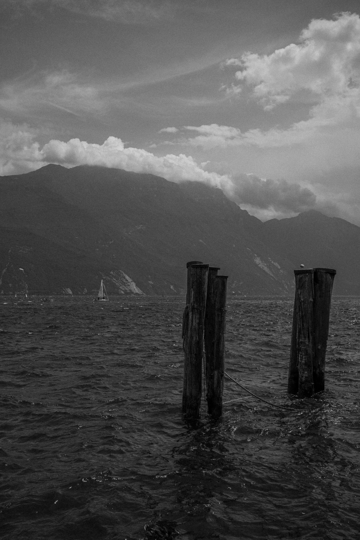 Sea wooden pillars