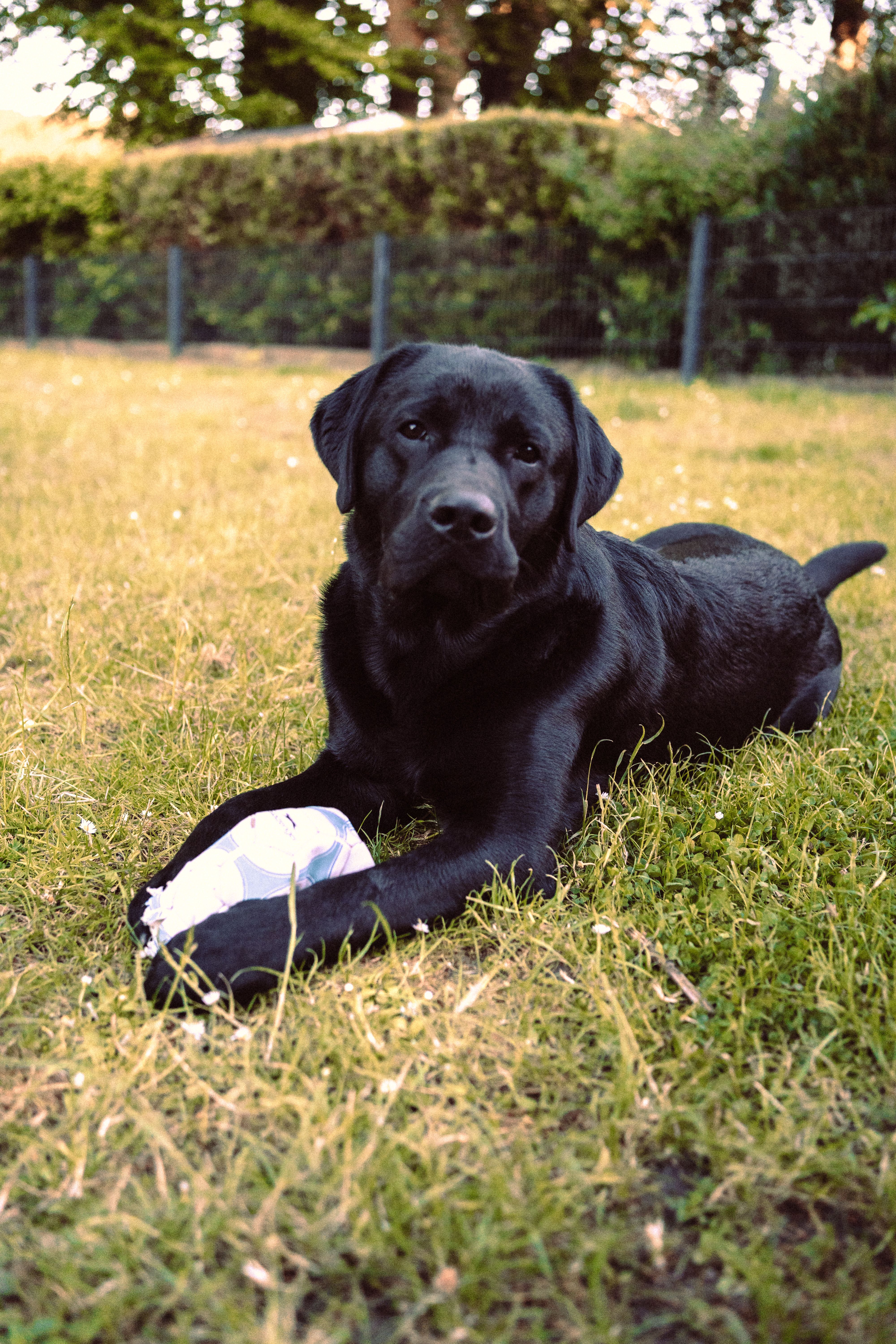 Casper mit Ball