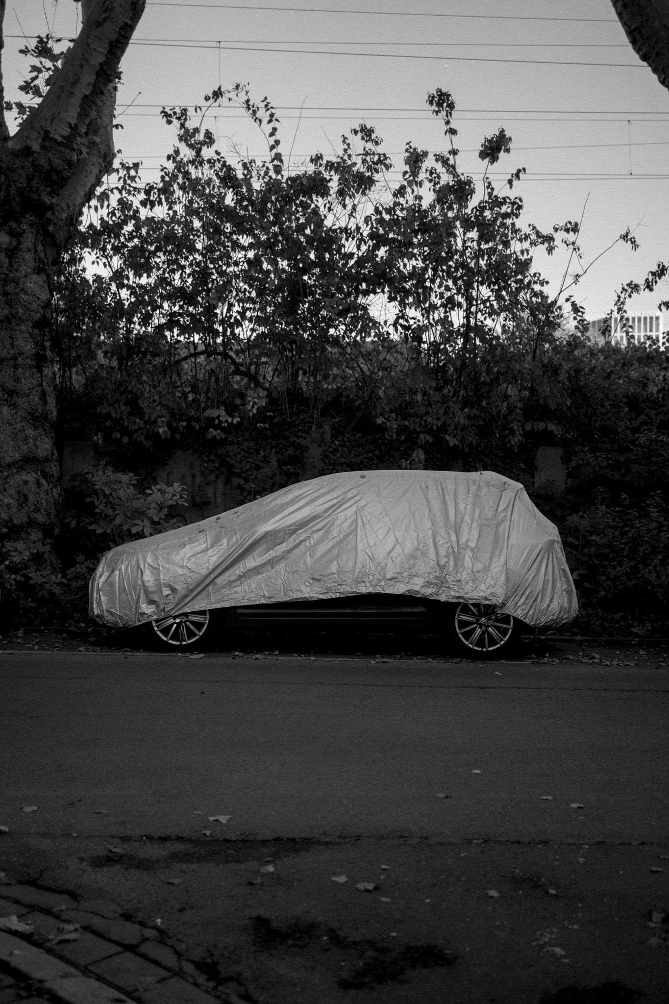 Covered Car
