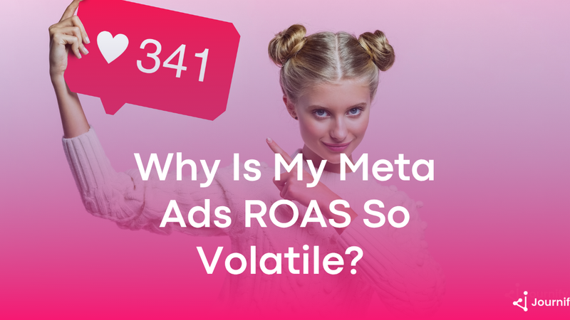Why Meta Ads ROAS is volatile and what it tells you about your data