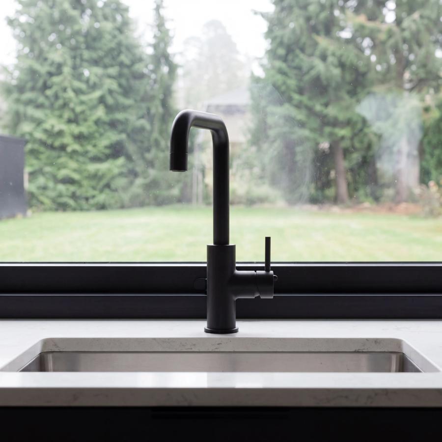 Black Kitchen with a Garden Window