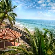 Last cliff morning and transfer to Thiruvananthapuram airport