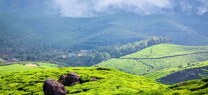 Kerala and Tamil Nadu Classic: Hills, Temples and the Southern Tip